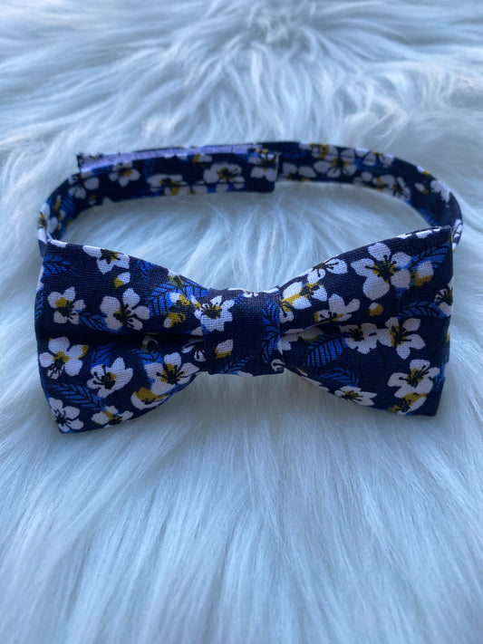Noeud papillon adultes